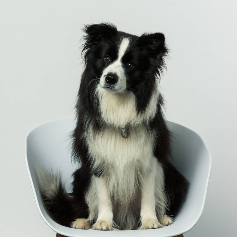 A profile image of Miles