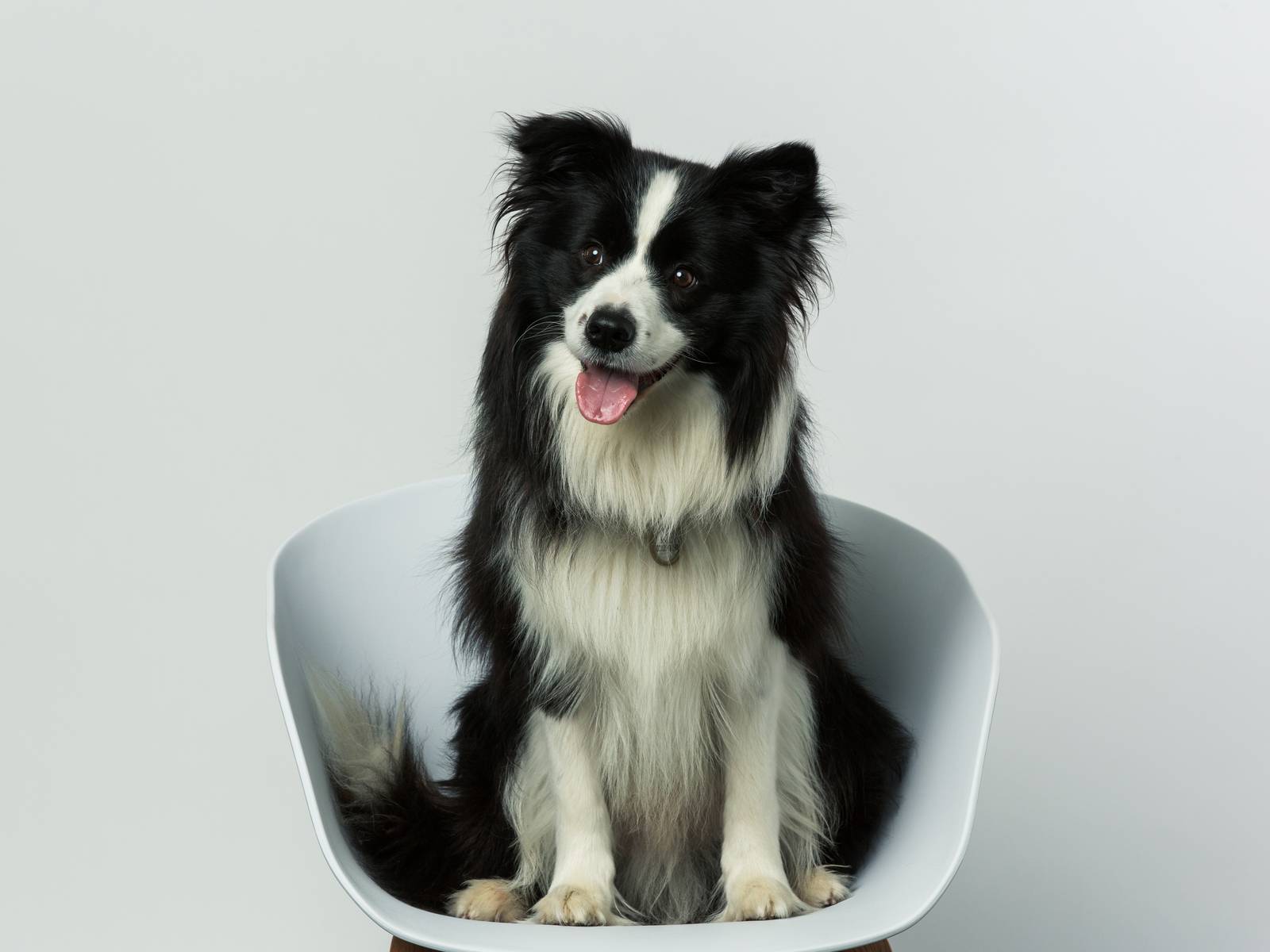 A profile image of