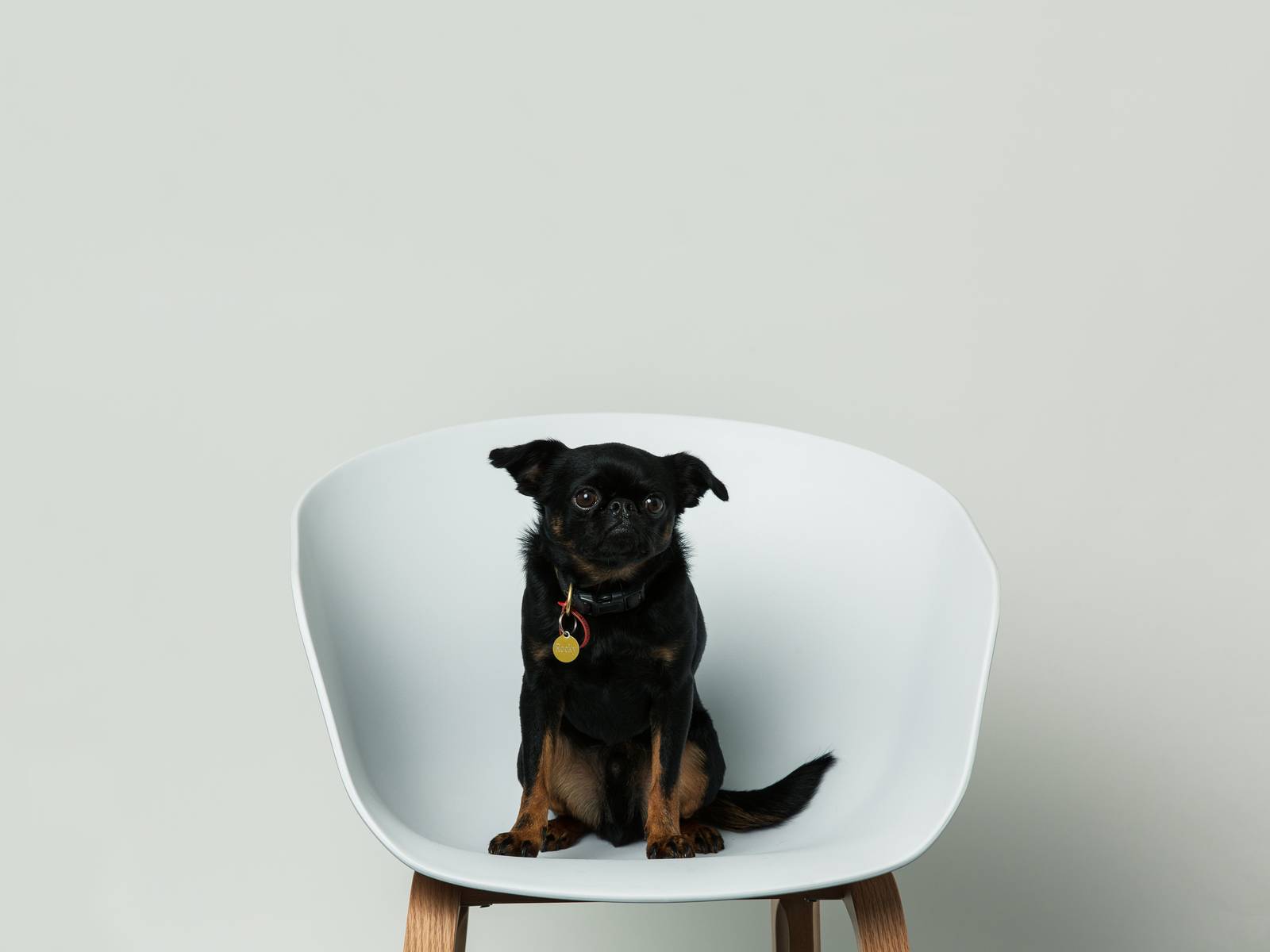 A profile image of Rocky