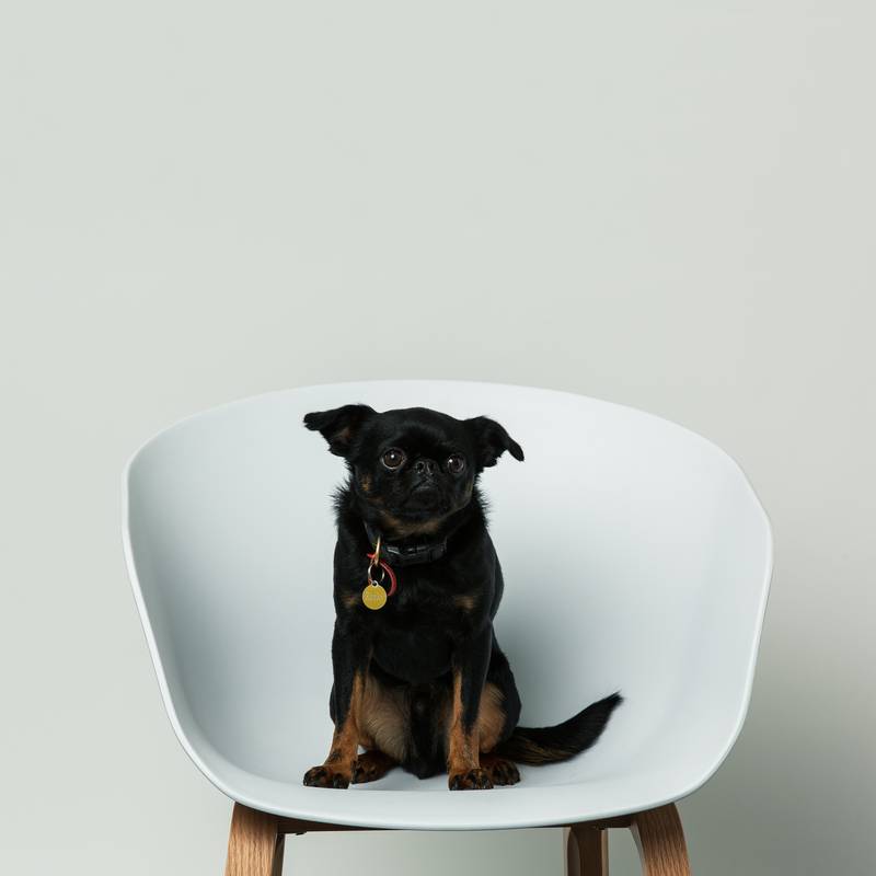 A profile image of Rocky