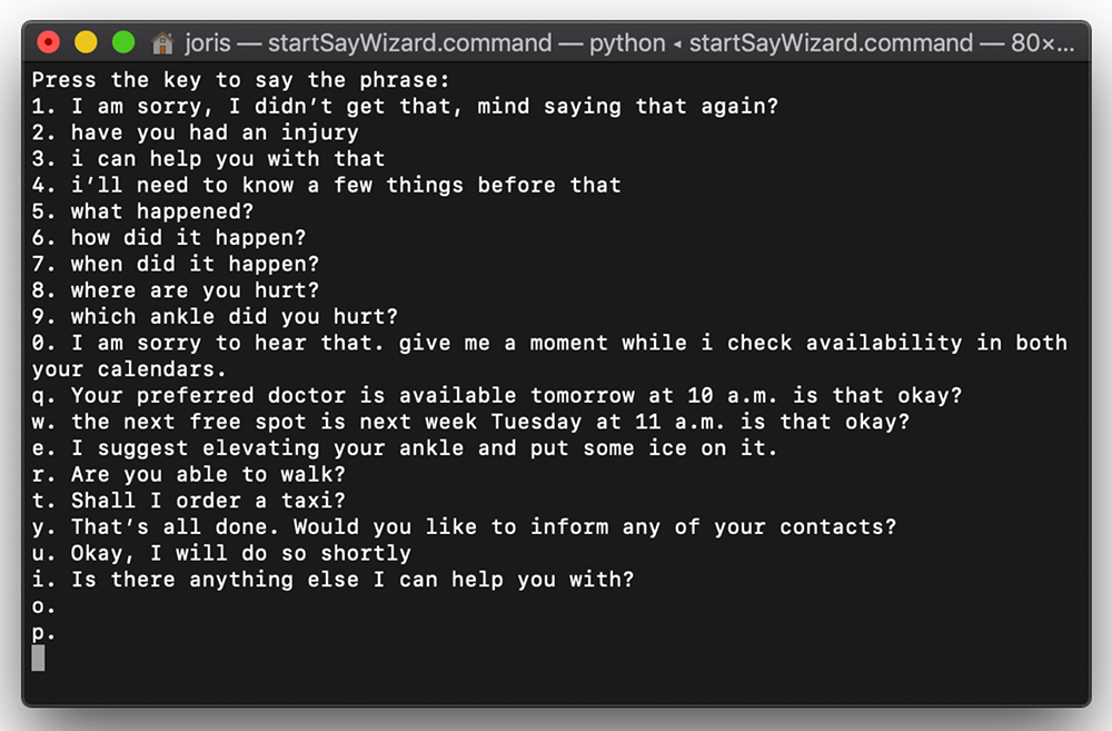 SayWizard Application ACC Voice